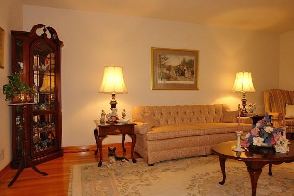 358 Blue Ridge Drive Blue Ridge, VA 24064 - Photo 4 of 22 a living room with furniture and a lamp