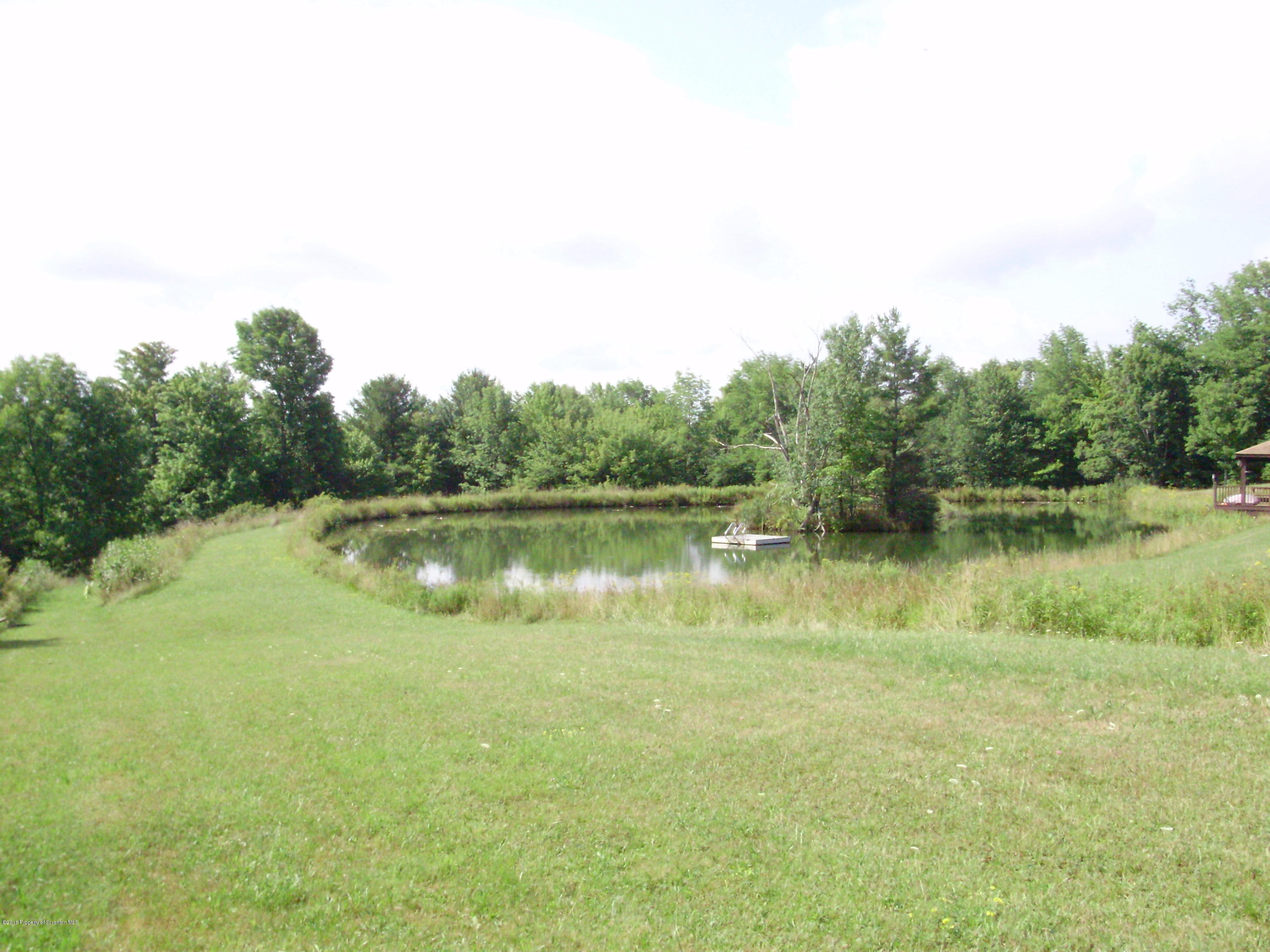 906 Johnson Road Hallstead, PA 18822 - Photo 7 of 31 a view of lake with green space