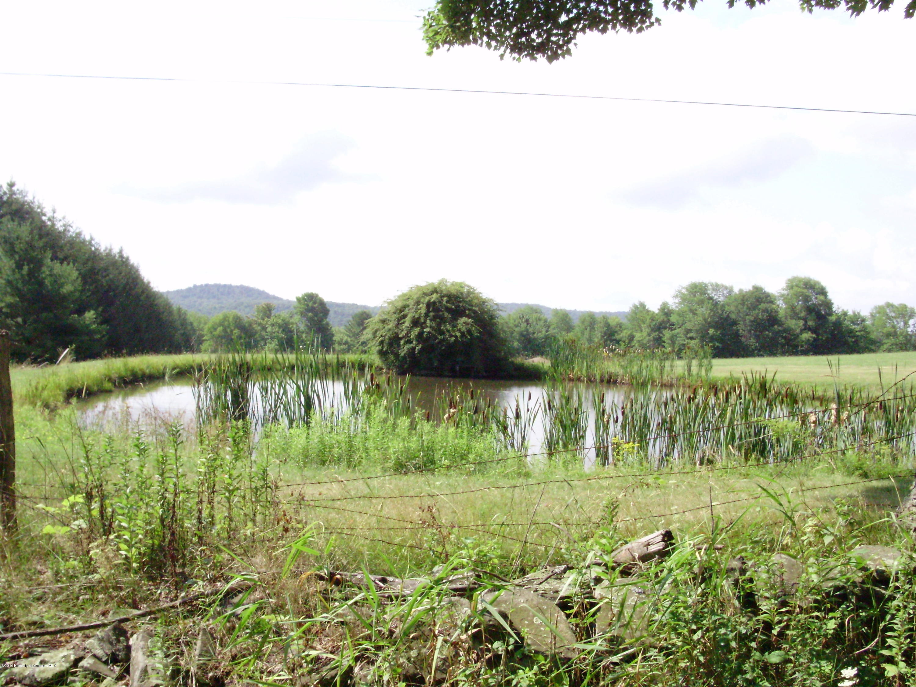 906 Johnson Road Hallstead, PA 18822 - Photo 9 of 31 a view of lake with green space