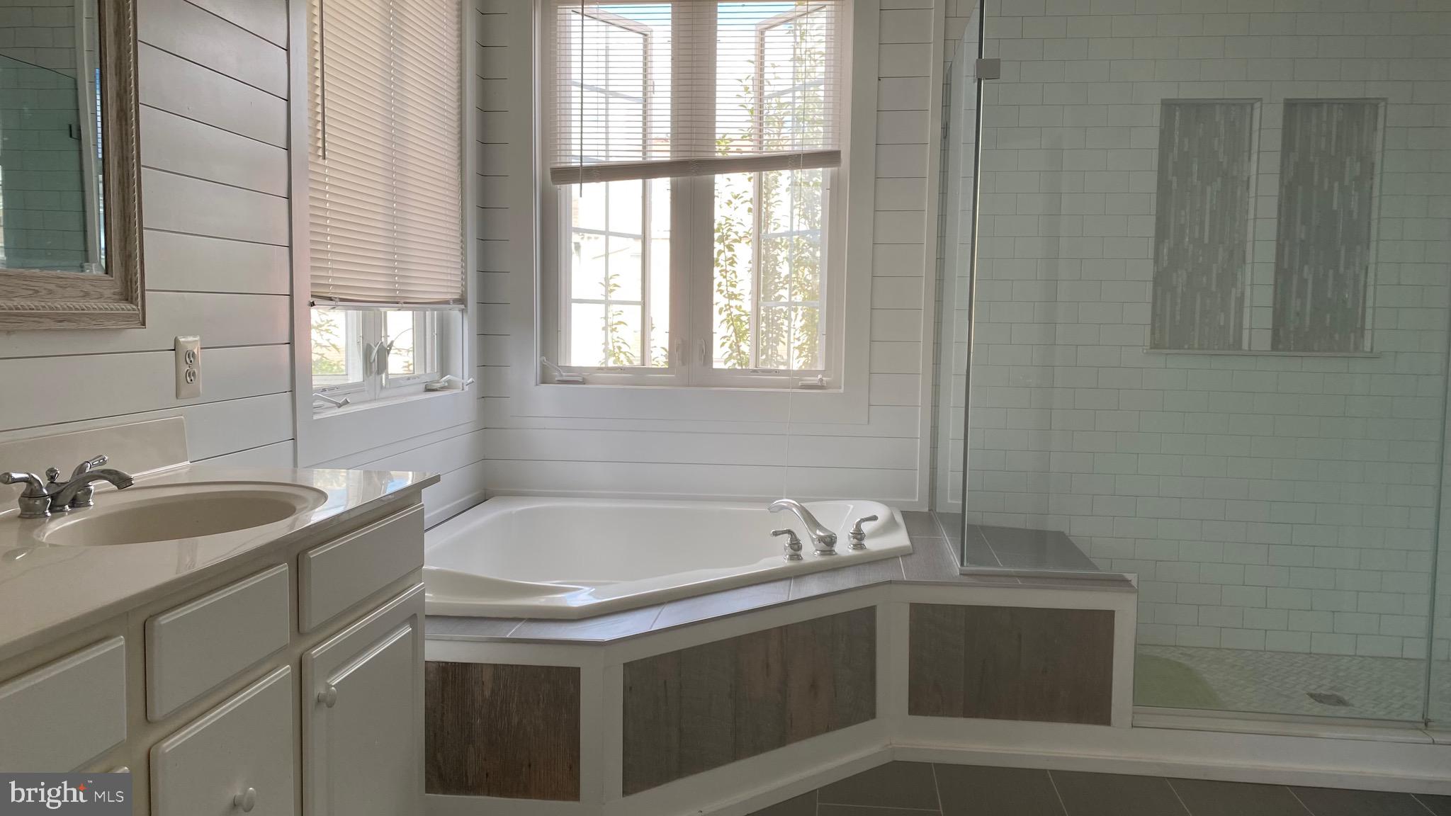 3948 Addison Woods Road Frederick, MD 21704 - Photo 18 of 19 a bathroom with a sink and a bathtub