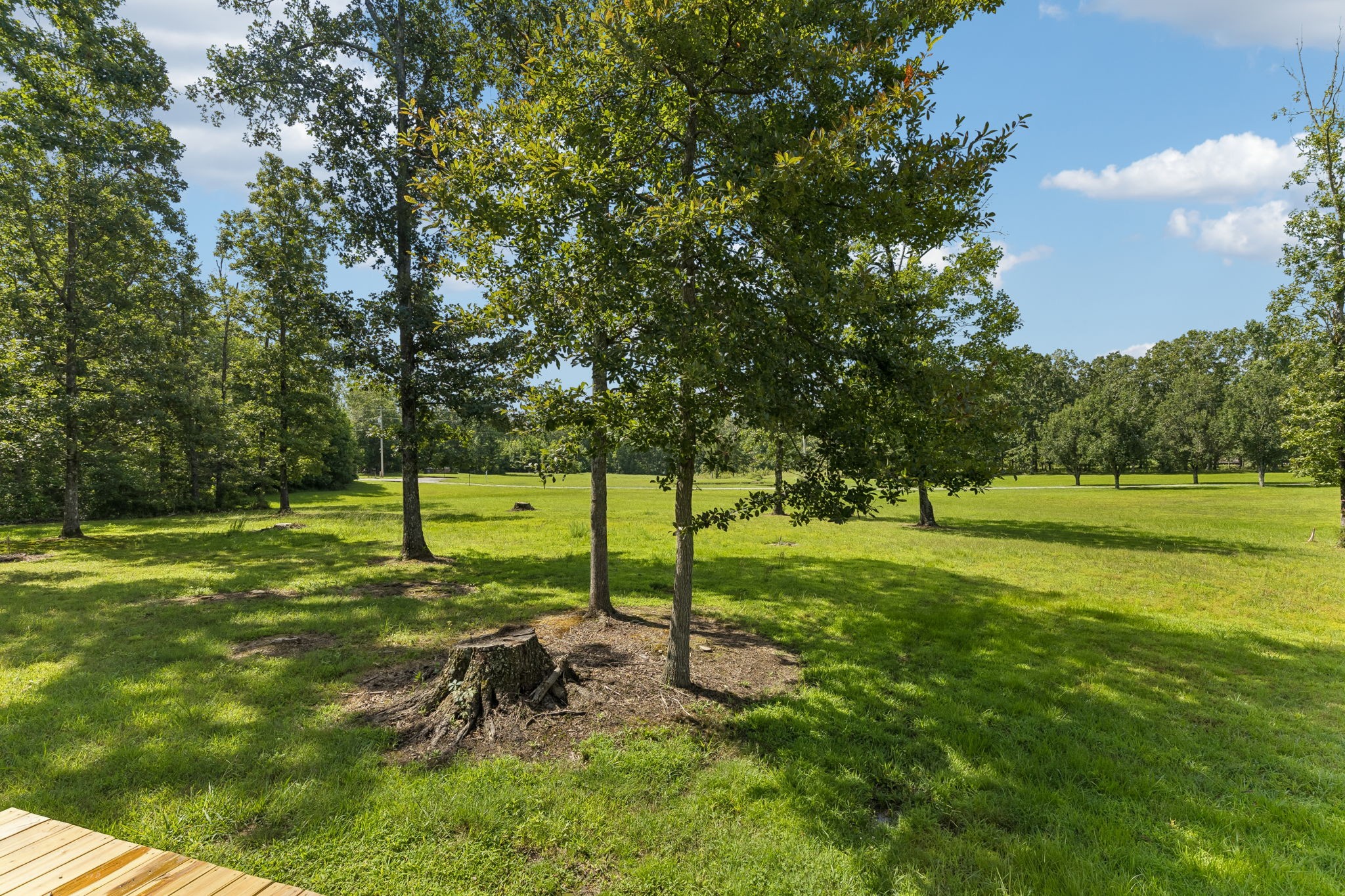 286 Henderson Road Hohenwald, TN 38462 - Photo 48 of 52 Gallery Image 48