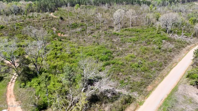 $65,360 | Hugh Hudnall Road Road, Decatur, MS 39327