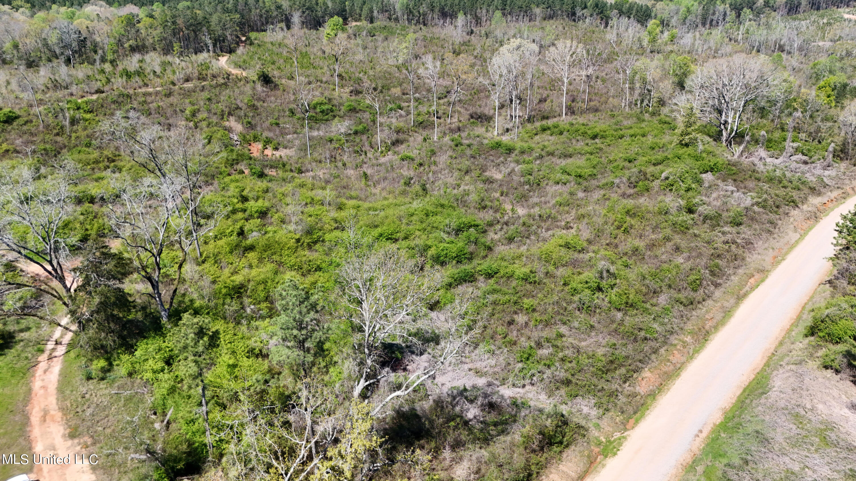 Hugh Hudnall Road Road Decatur, MS 39327 - Photo 11 of 35 DJI_20240330115054_0129_D