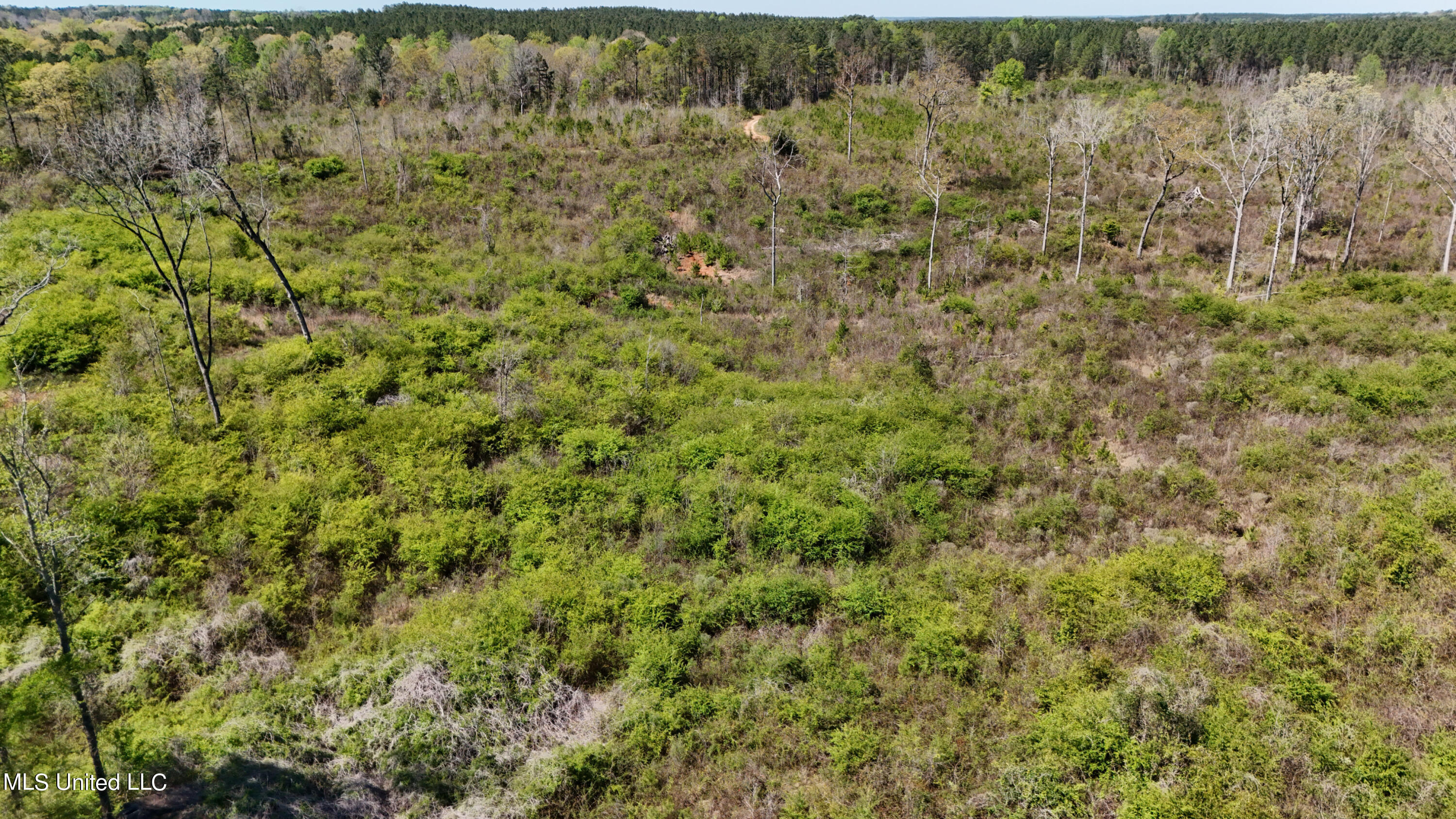 Hugh Hudnall Road Road Decatur, MS 39327 - Photo 13 of 35 DJI_20240330115123_0131_D