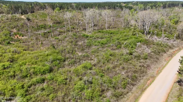 $65,360 | Hugh Hudnall Road, Decatur, MS 39327