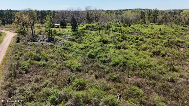 $65,360 | Hugh Hudnall Road Road, Decatur, MS 39327