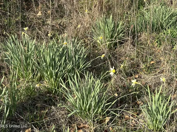 $65,360 | Hugh Hudnall Road, Decatur, MS 39327