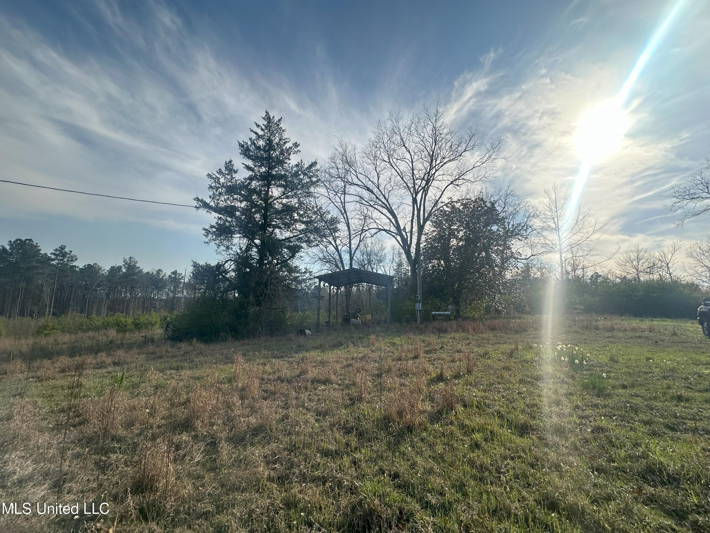 Hugh Hudnall Road Road Decatur, MS 39327 - Photo 23 of 35 IMG_3636