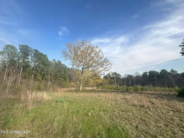 $65,360 | Hugh Hudnall Road Road, Decatur, MS 39327