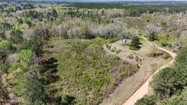 $65,360 | Hugh Hudnall Road Road, Decatur, MS 39327