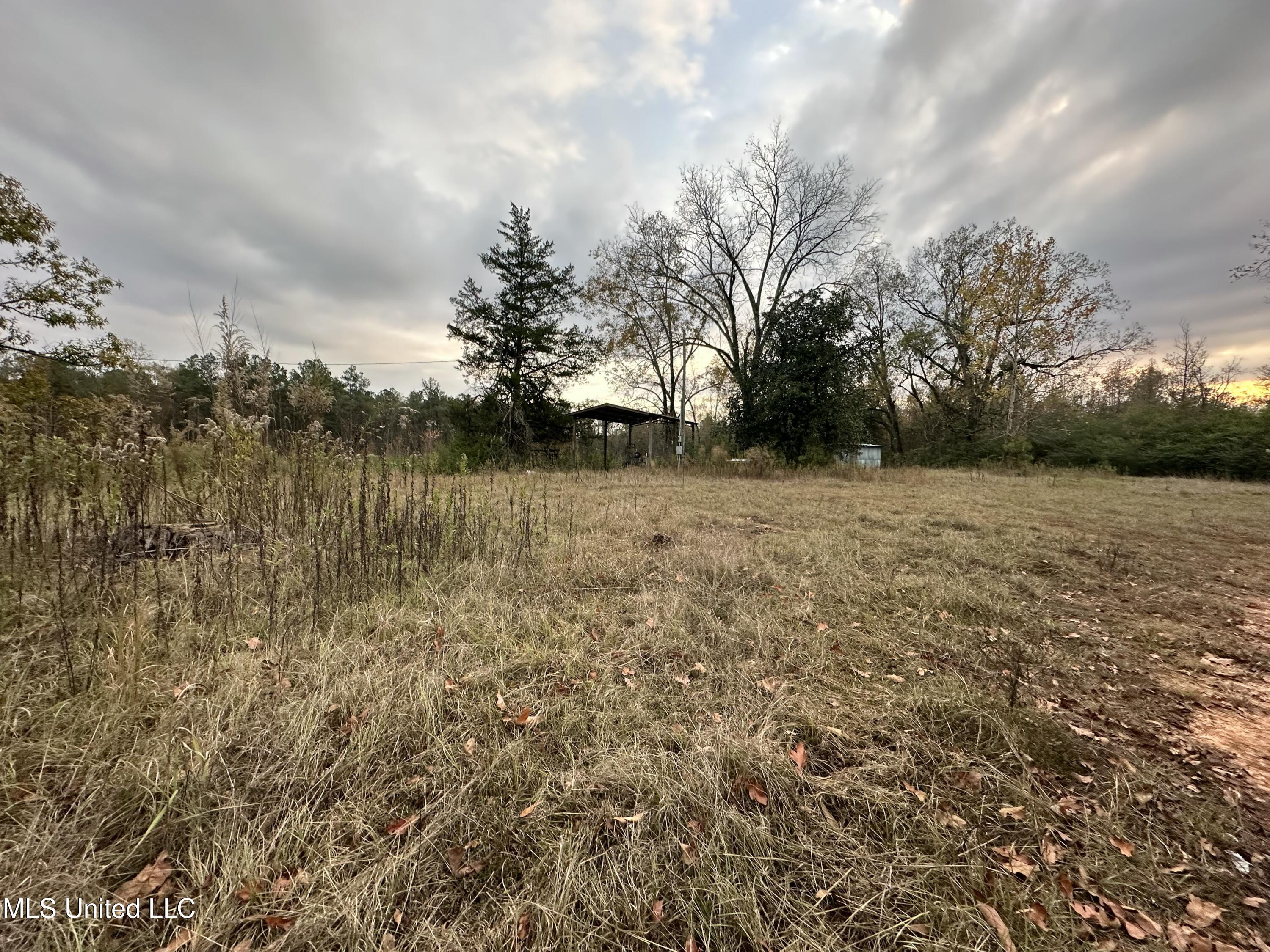 Hugh Hudnall Road Road Decatur, MS 39327 - Photo 35 of 35 IMG_1448