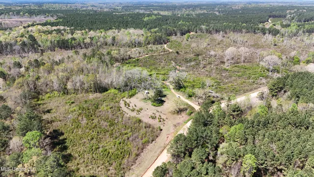 $65,360 | Hugh Hudnall Road Road, Decatur, MS 39327