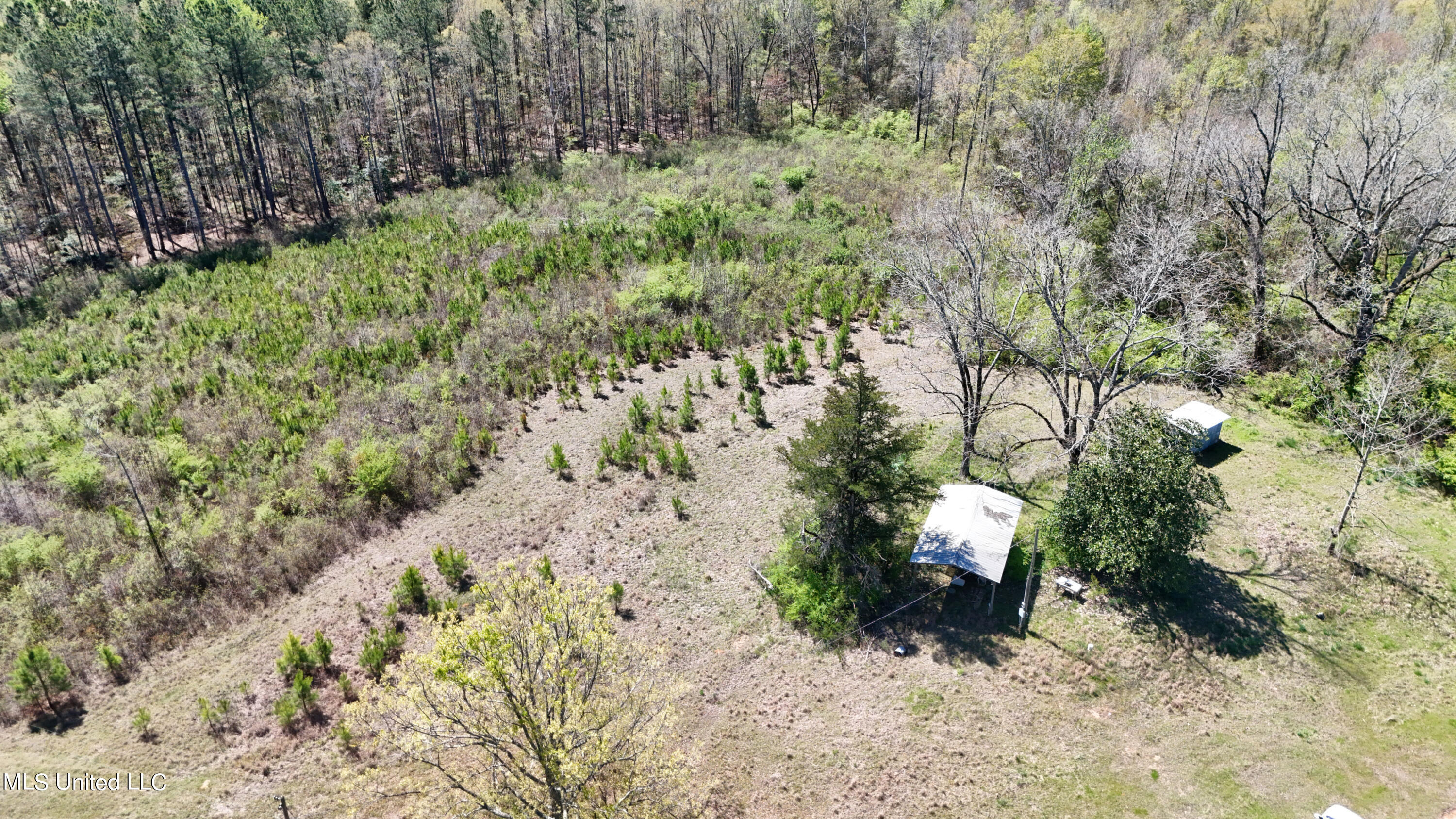 Hugh Hudnall Road Road Decatur, MS 39327 - Photo 9 of 35 DJI_20240330115035_0127_D