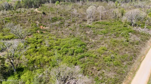 $65,360 | Hugh Hudnall Road, Decatur, MS 39327