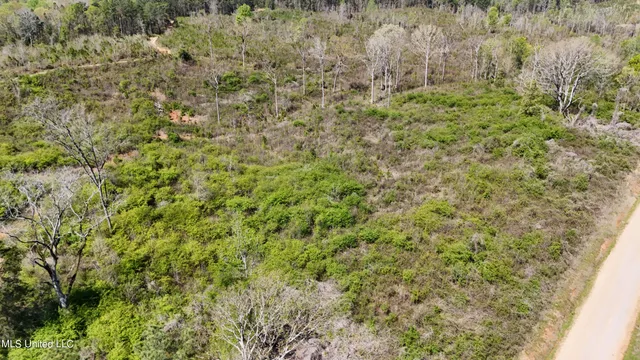 $65,360 | Hugh Hudnall Road Road, Decatur, MS 39327