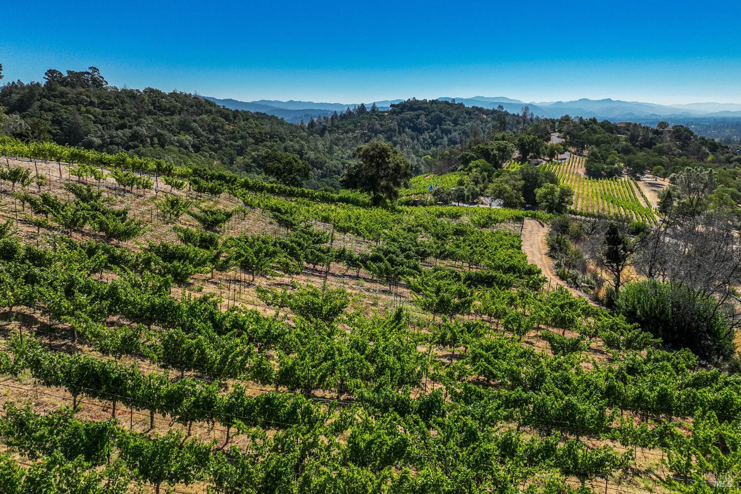 2910 Spring Mountain Road St. Helena, CA 94574 - Photo 5 of 8