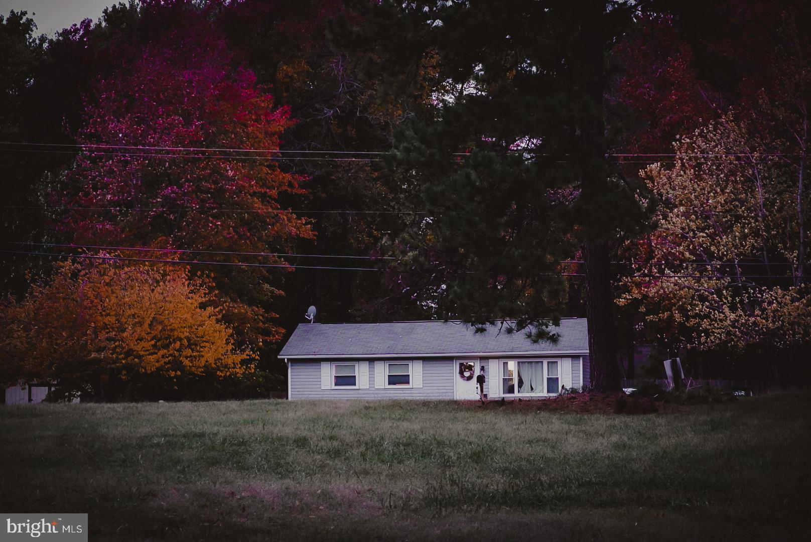 106 Kent Point Road Stevensville, MD 21666 - Photo 1 of 24 a view of a house with a yard and tree s