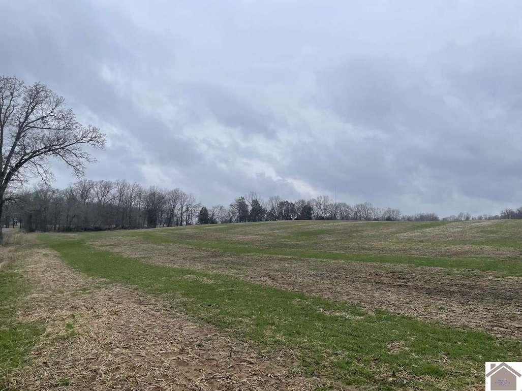 Tbd Mt Olive Church Road Mayfield, KY 42066 - Photo 1 of 1 Photo 1