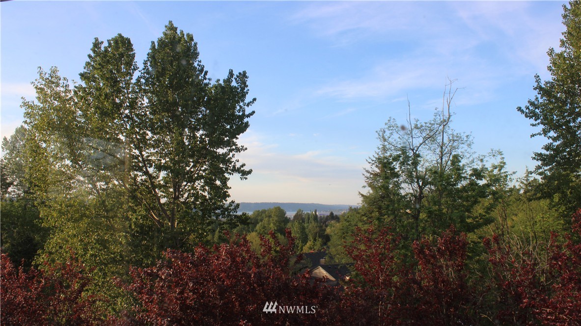 2603 Cedar Avenue South Renton, WA 98055 - Photo 23 of 23