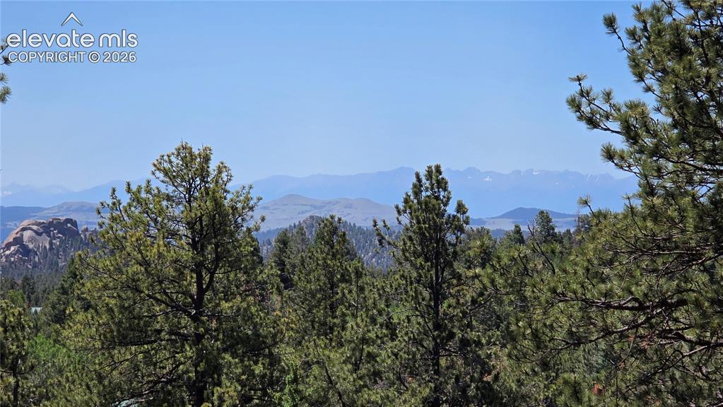 1366 North Mountain Estates Road Florissant, CO 80816 - Photo 6 of 16