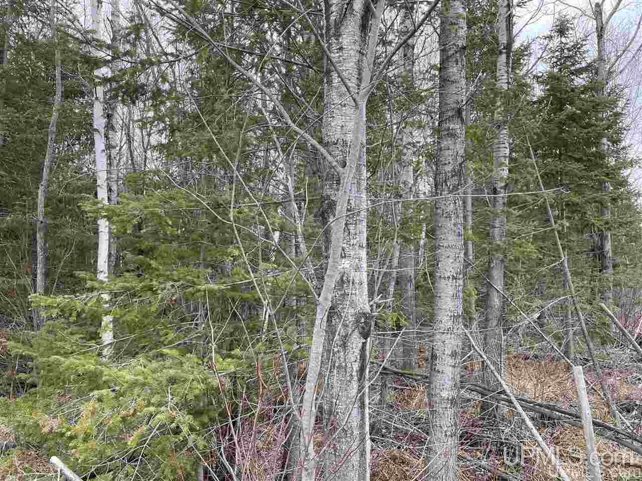 Tbd 2235 Road, Unit 3 Wetmore, MI 49895 - Photo 2 of 13