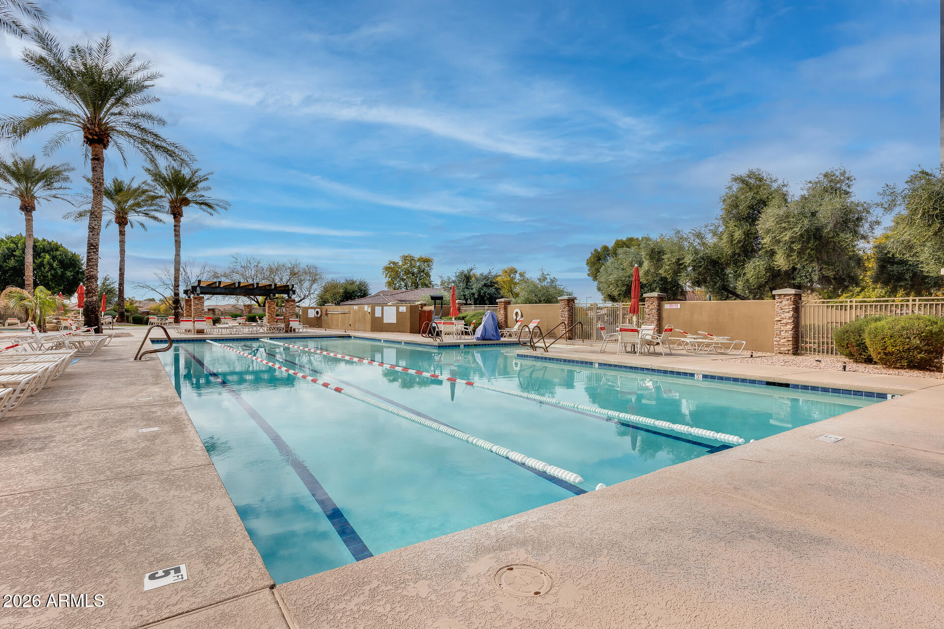 4906 South Verbena Avenue Gilbert, AZ 85298 - Photo 35 of 46 Community