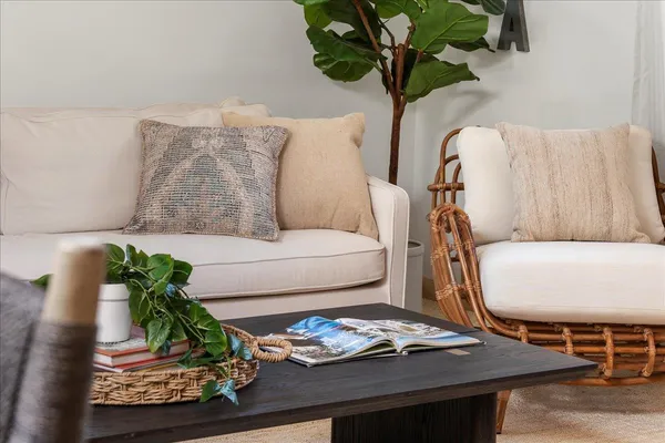 a living room with furniture and a potted plant