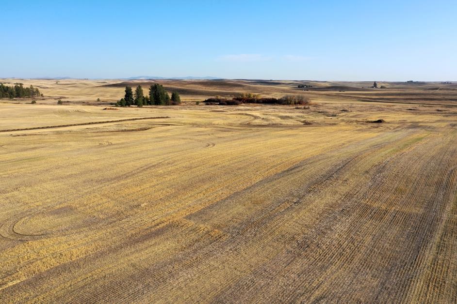 X East X E Cornwall Road Spangle, WA 99031 - Photo 17 of 19