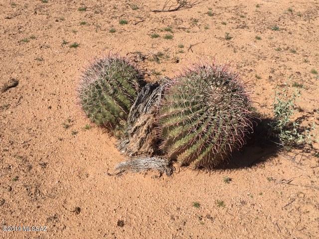 12950 West Fort Lowell Road Tucson, AZ 85743 - Photo 12 of 20