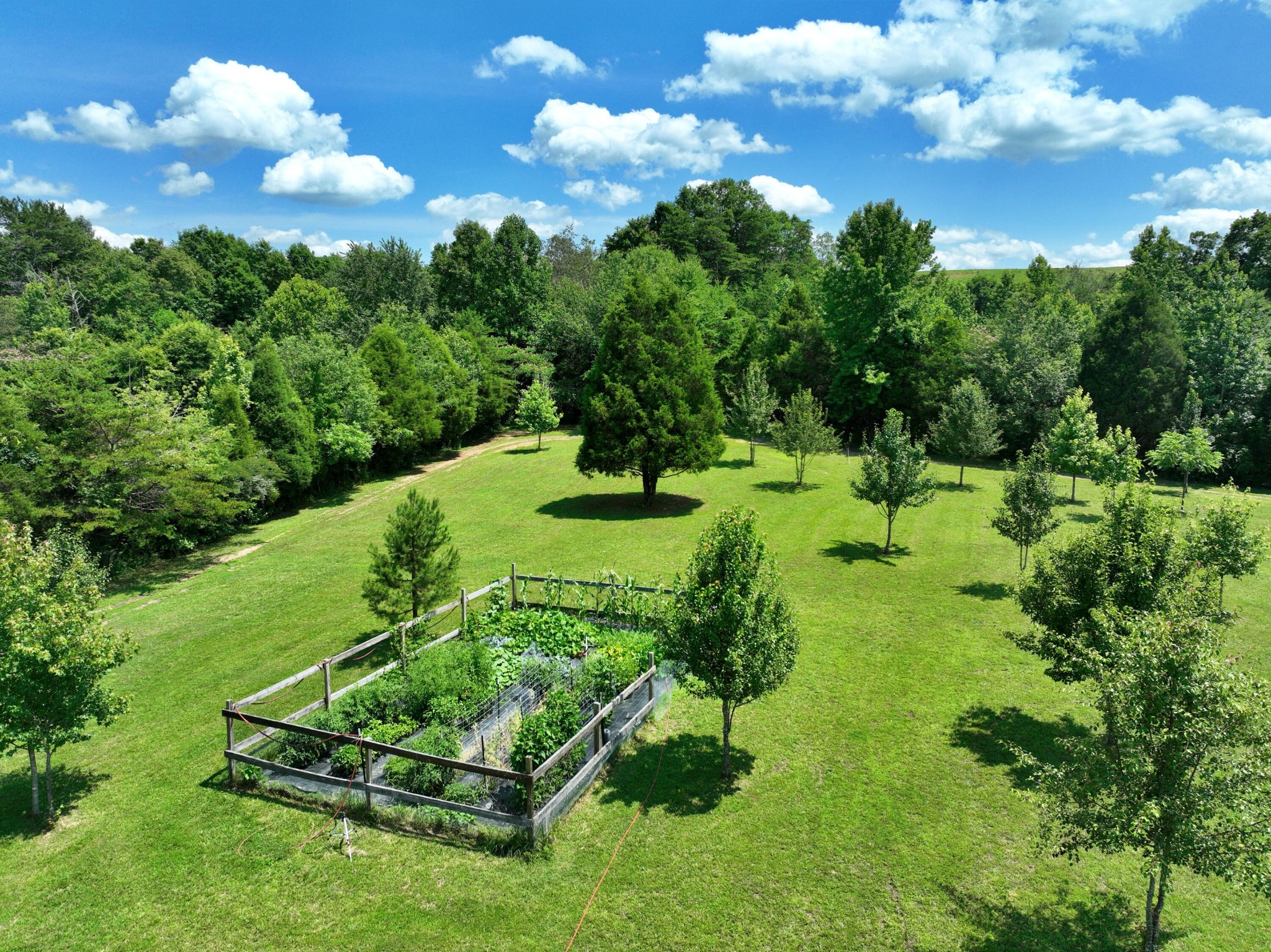 5858 Wolf Creek Road Spring City, TN 37381 - Photo 5 of 76