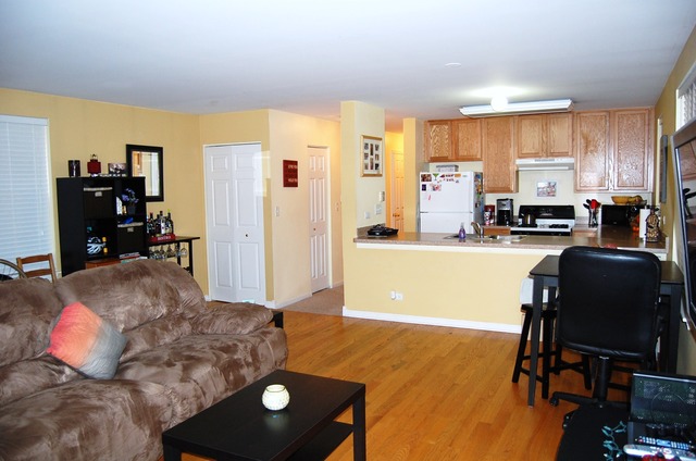 641 West Elm Street, Unit A Chicago, IL 60610 - Photo 3 of 9