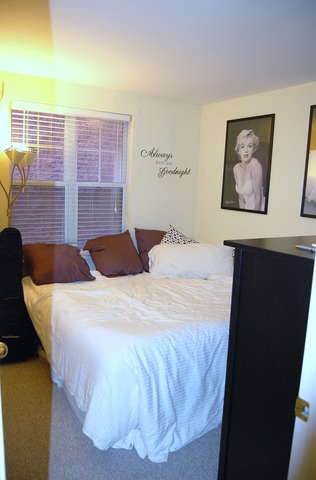 641 West Elm Street, Unit A Chicago, IL 60610 - Photo 6 of 9