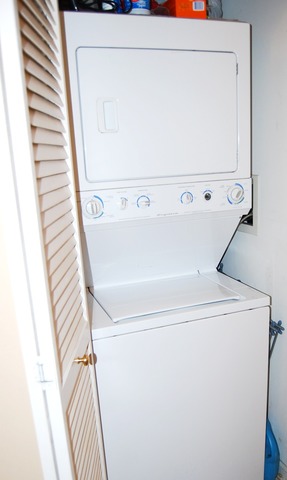 641 West Elm Street, Unit A Chicago, IL 60610 - Photo 8 of 9