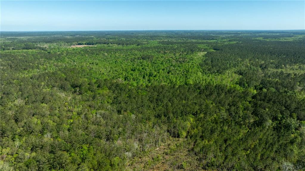 0 Juniper Lane Southwest Townsend, GA 31331 - Photo 11 of 12