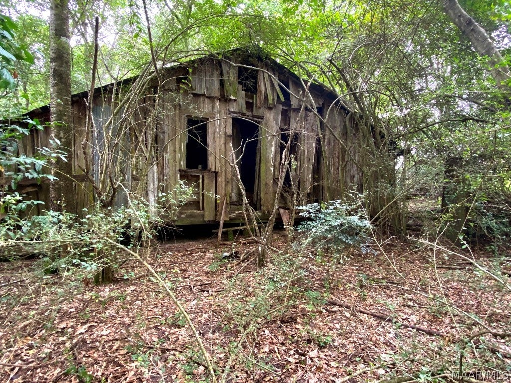 18-acres Leon Wiggins Road Andalusia, AL 36420 - Photo 6 of 6 Gallery Image 6
