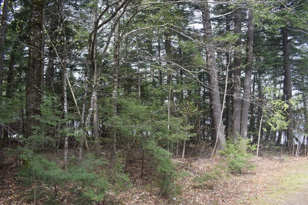 M16-l23 East Shore Road Embden, ME 04958 - Photo 7 of 8 Photo