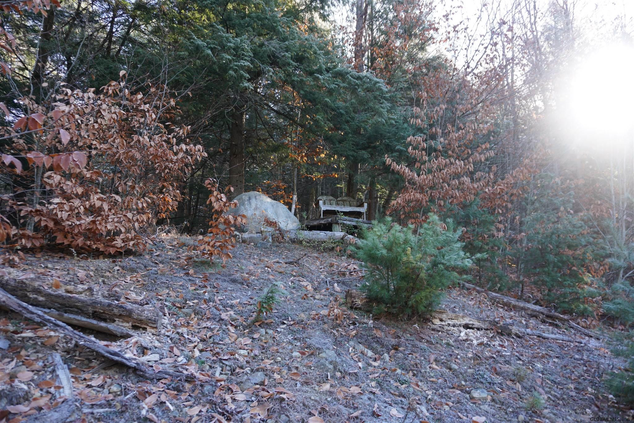 1759 North Shore Road Day, NY 12835 - Photo 32 of 50 Photo 32