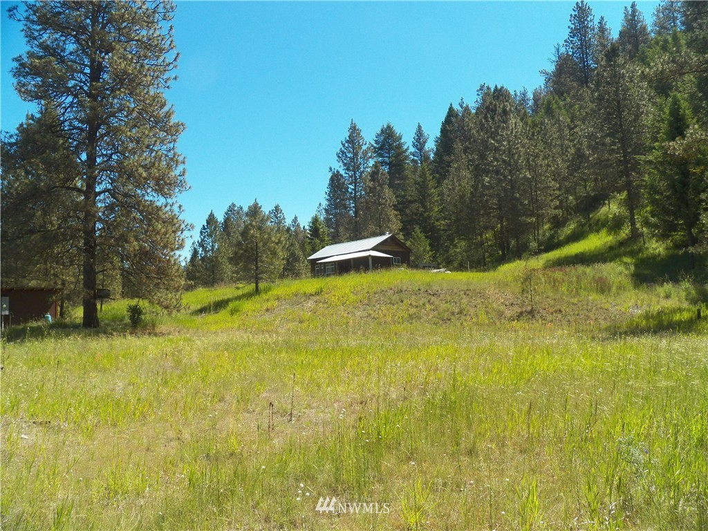 0 Karamin Acres Road Malo, WA 99150 - Photo 1 of 25 Gallery Image 1