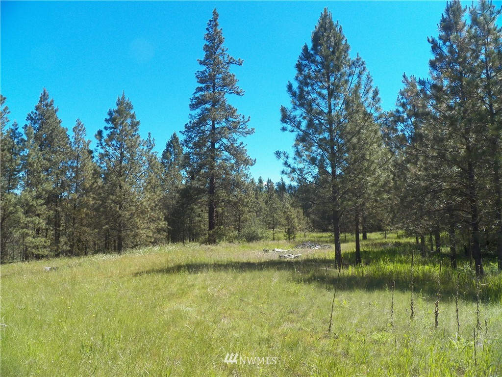 0 Karamin Acres Road Malo, WA 99150 - Photo 13 of 25 Gallery Image 13