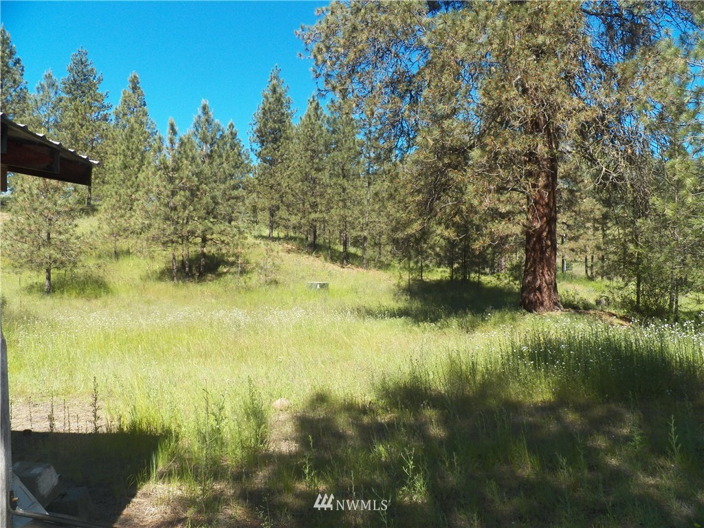 0 Karamin Acres Road Malo, WA 99150 - Photo 14 of 25 Gallery Image 14