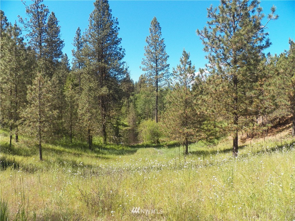 0 Karamin Acres Road Malo, WA 99150 - Photo 15 of 25 Gallery Image 15