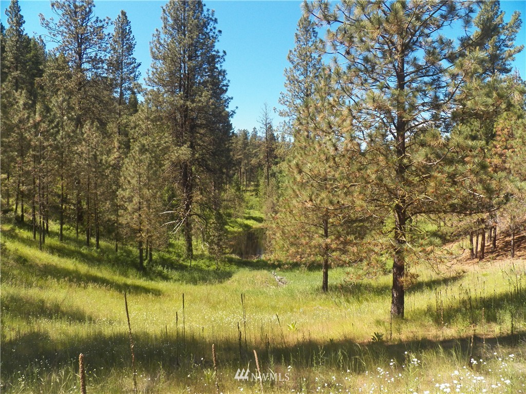 0 Karamin Acres Road Malo, WA 99150 - Photo 16 of 25 Gallery Image 16