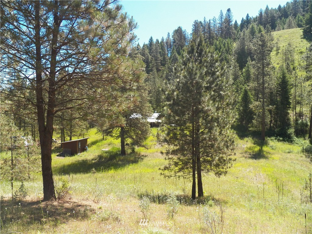 0 Karamin Acres Road Malo, WA 99150 - Photo 17 of 25 Gallery Image 17