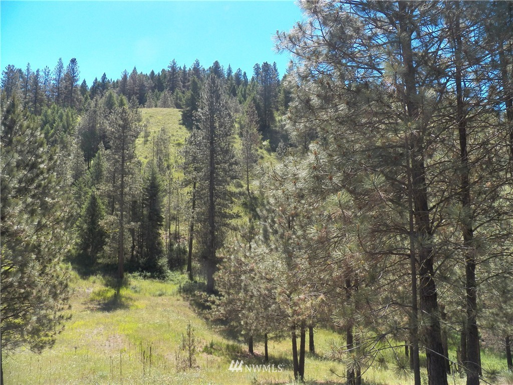 0 Karamin Acres Road Malo, WA 99150 - Photo 18 of 25 Gallery Image 18