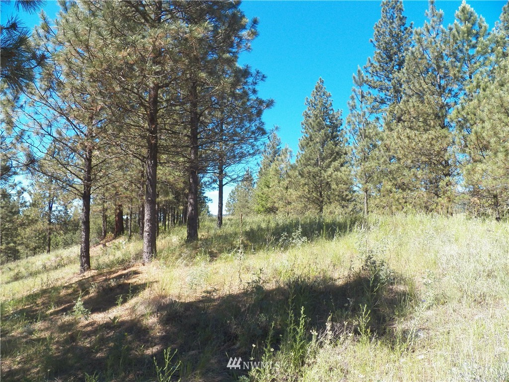 0 Karamin Acres Road Malo, WA 99150 - Photo 19 of 25 Gallery Image 19