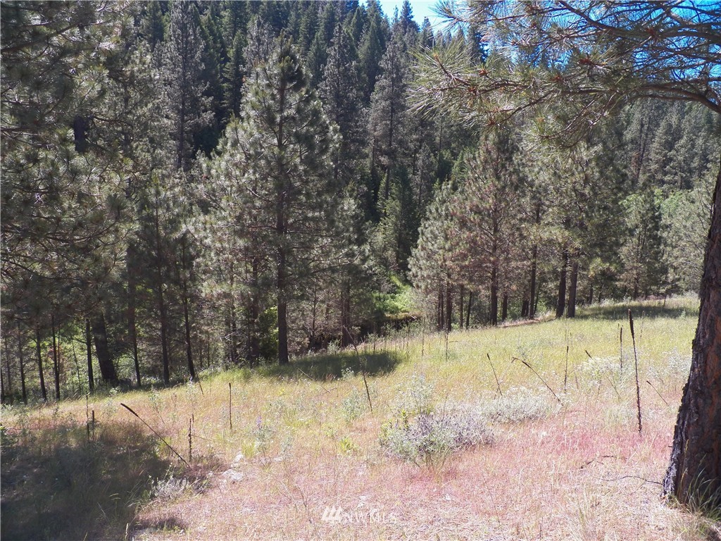 0 Karamin Acres Road Malo, WA 99150 - Photo 20 of 25 Gallery Image 20