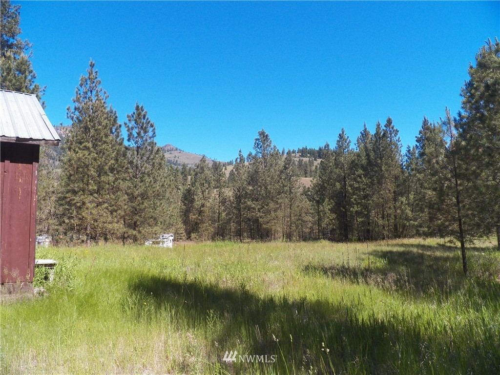 0 Karamin Acres Road Malo, WA 99150 - Photo 3 of 25 Gallery Image 3