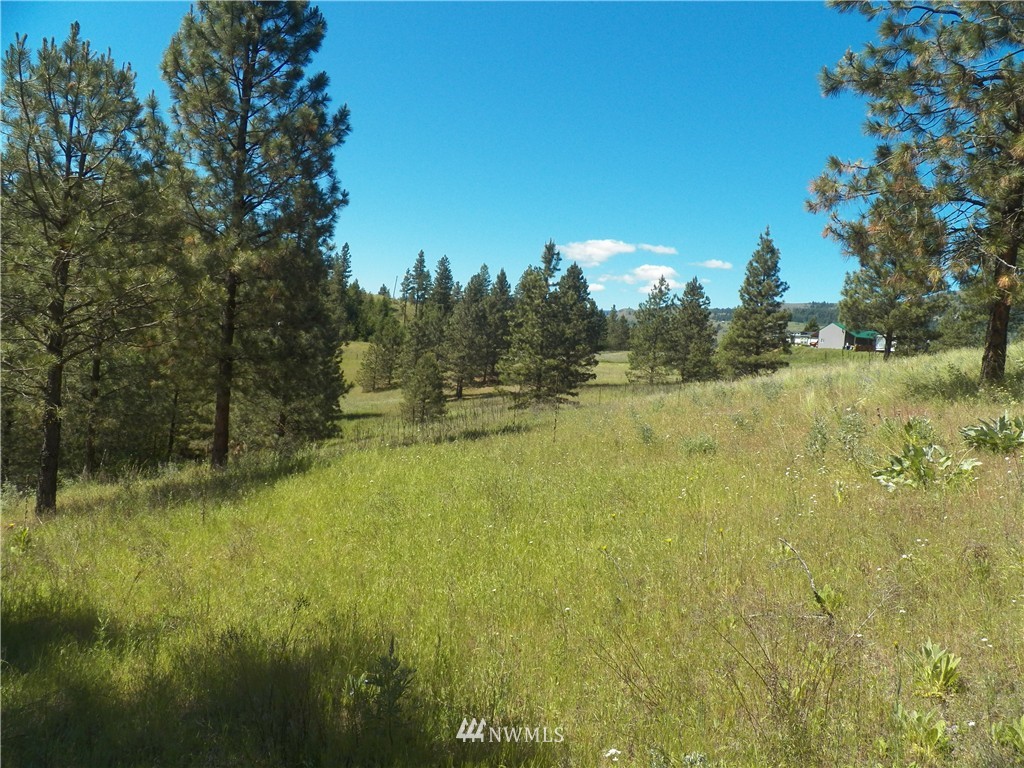0 Karamin Acres Road Malo, WA 99150 - Photo 21 of 25 Gallery Image 21