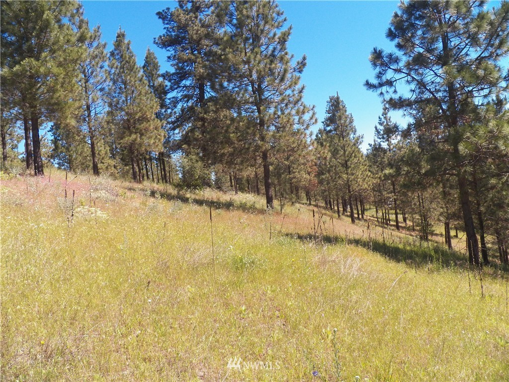 0 Karamin Acres Road Malo, WA 99150 - Photo 22 of 25 Gallery Image 22