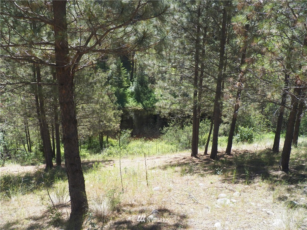 0 Karamin Acres Road Malo, WA 99150 - Photo 23 of 25 Gallery Image 23